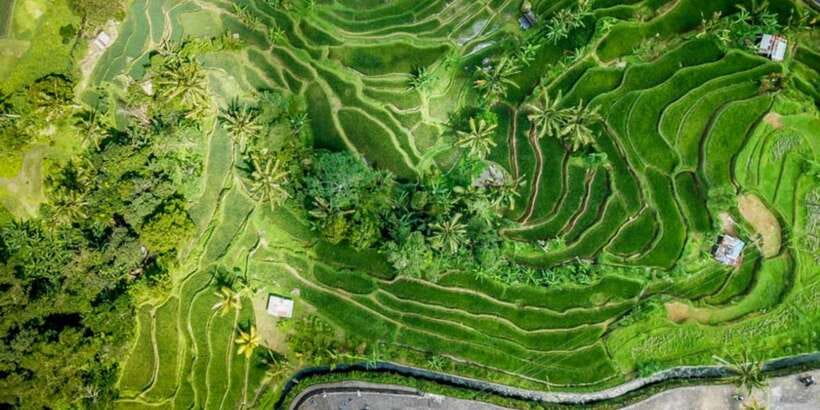 Bali Secret Waterfalls with Ulun Danu Beratan Temple Tour - Ulun Danu Beratan Temple on Lake Beratan