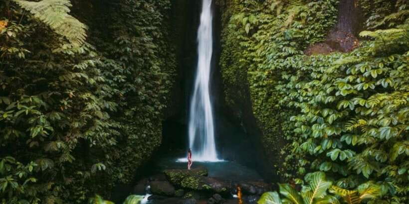 Bali Secret Waterfalls with Ulun Danu Beratan Temple Tour - Sangeh Monkey Forest and its macaques