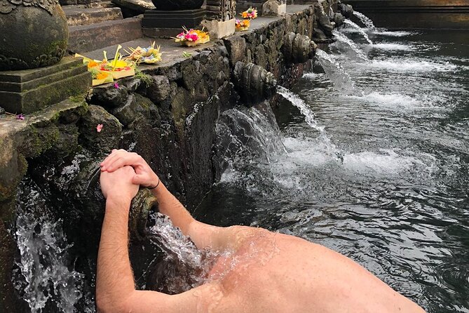 Bali Swing Hot Spring And Waterfall Private Guided Tour - Starting among Ubud’s monkeys