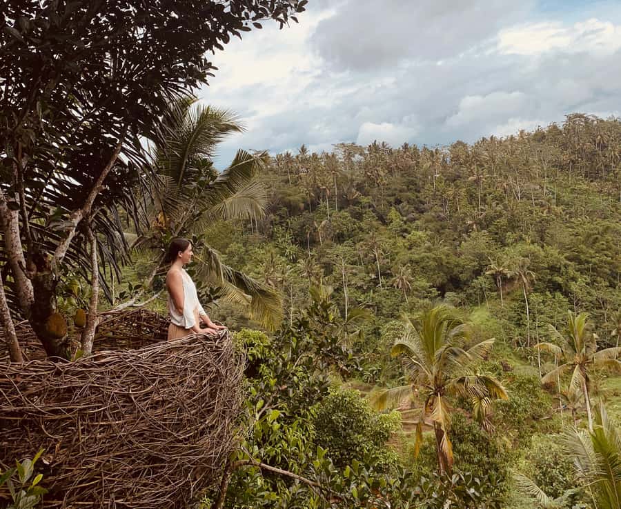 Bali: Swing with Falls, Rice Terrace, & Monkey Forest Option - Add-ons: coffee, Tirta Empul, and massage