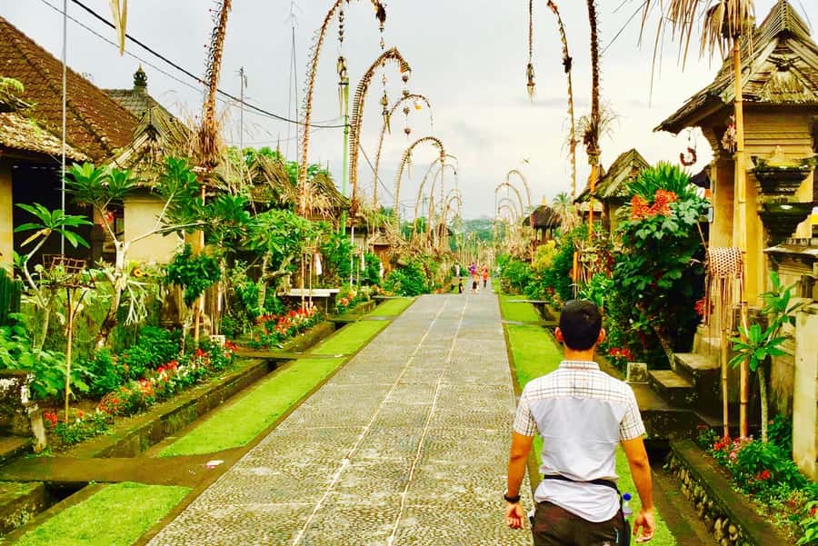 Bali: Swing with Falls, Rice Terrace, & Monkey Forest Option - Transport, timing, and the real cost