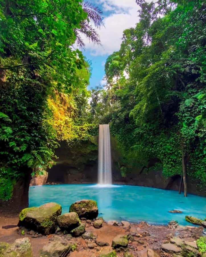 Bali Top's 3 Waterfalls - Temple And Rice Terrace - Tegalalang Rice Terrace: a scenic final stop