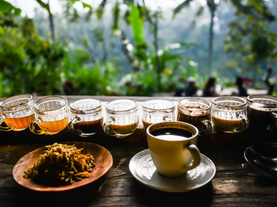 Bali: Ubud Adventure, ATV, Monkey Forest& Waterfall Tour - Tegenungan Waterfall, the best place to slow down