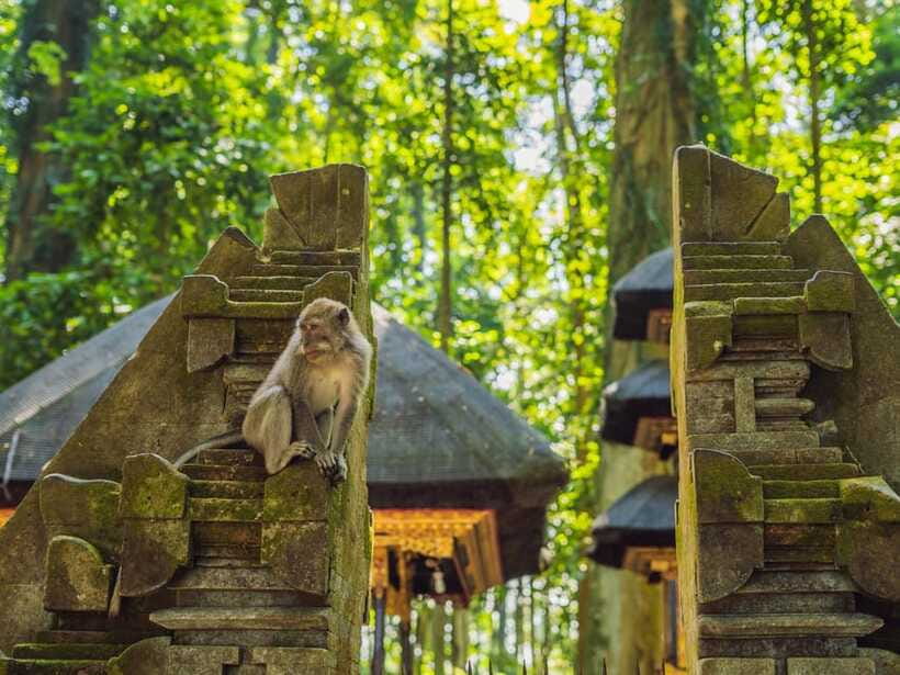 Bali: Ubud Adventure, ATV, Monkey Forest& Waterfall Tour - What Agus, Pande, and Wayan Agus add to the day