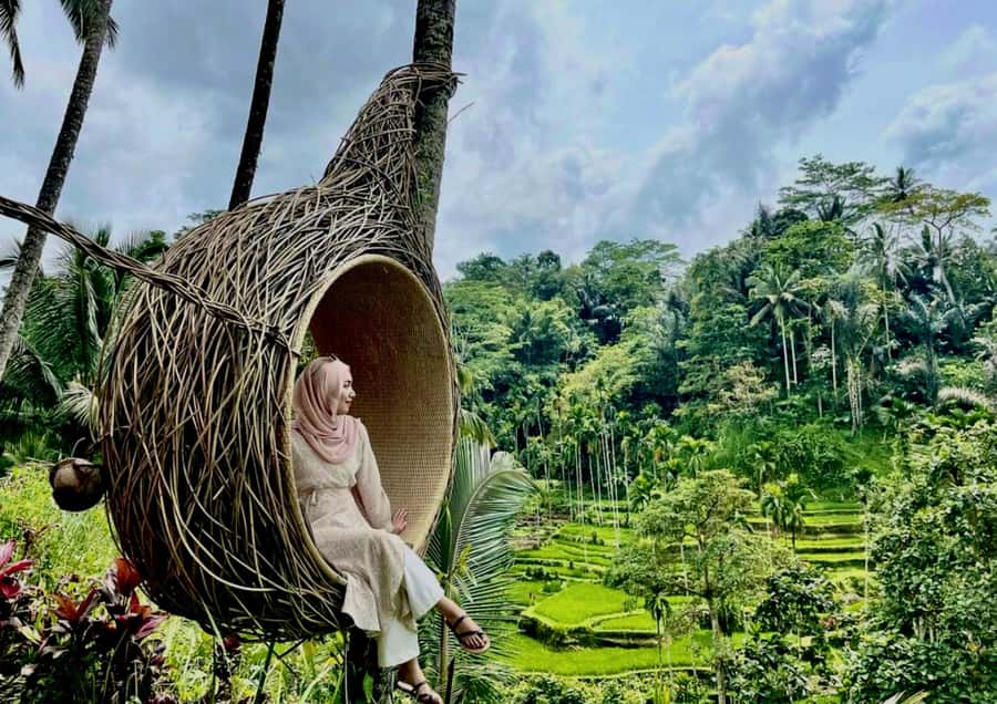 Bali/Ubud: Kanto Lampo Waterfall, Monkey Forest & Swing Tour - Tegallalang: the swing above the rice paddies