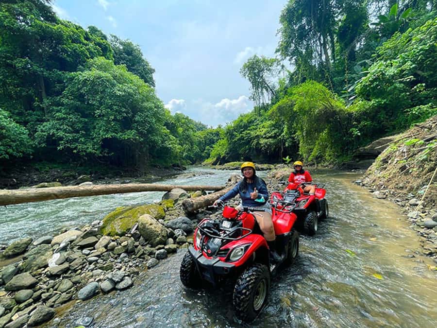 Bali: Ubud, Monkey Forest, Ancient Temple, Waterfalls - Coffee tasting at Satria Agrowisata