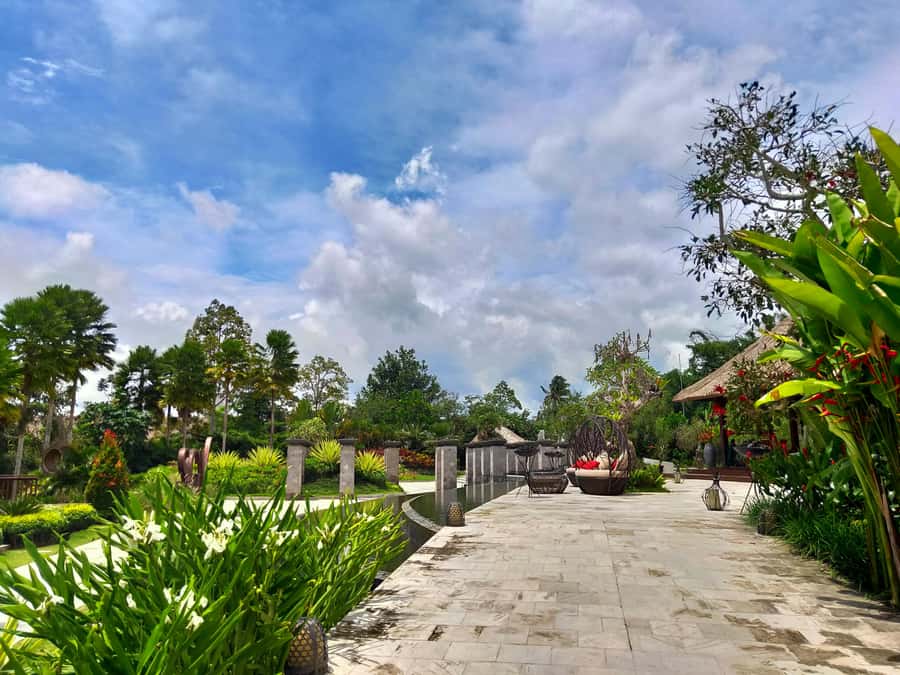 Bali: Ubud, Monkey Forest, Ancient Temple, Waterfalls - A private morning pickup across southern Bali