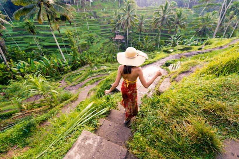 Bali: Ubud Monkey Forest, Waterfall, and Rice Terrace Tour - Why this route works for a first Ubud day
