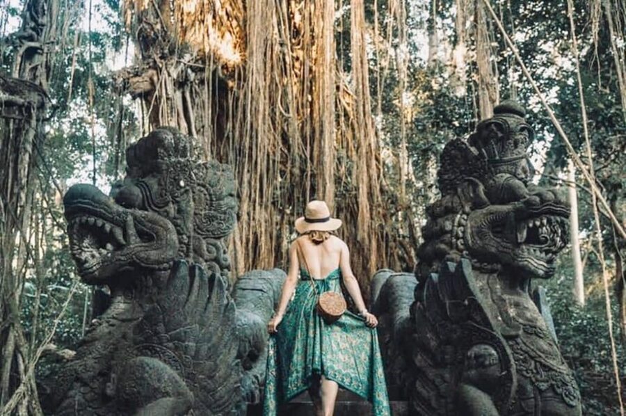 Bali: Ubud Monkey Forest, Waterfall, and Rice Terrace Tour - The private car is the real convenience