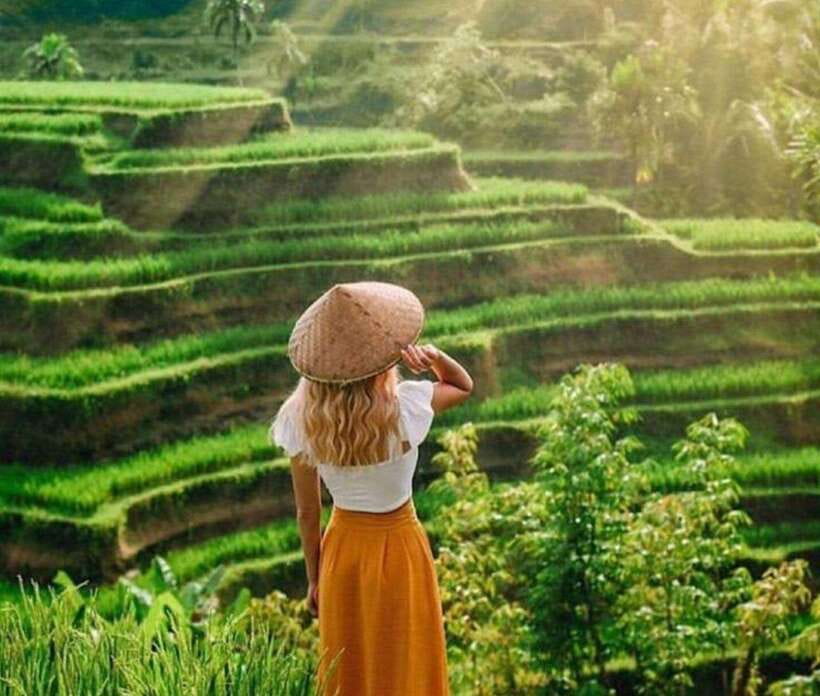 Bali: Ubud Monkey Forest, Waterfall, and Rice Terrace Tour - What the $25 price really covers