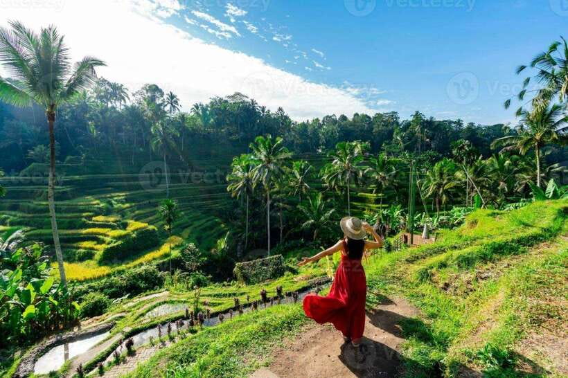 Bali: Ubud Monkey Forest, Waterfall, and Rice Terrace Tour - Timing, packing, and comfort