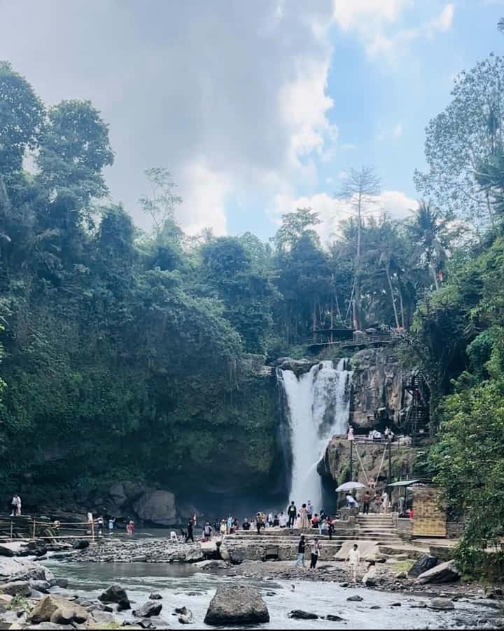 Bali ubud : monkey forest, waterfall , temple - What the driver-guide adds to the day