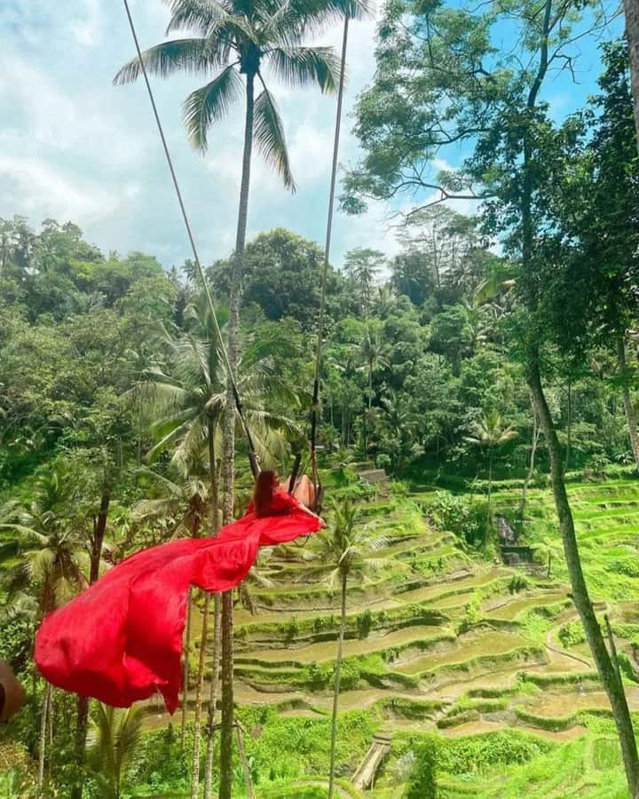 Bali ubud : monkey forest, waterfall , temple - Should you book it?