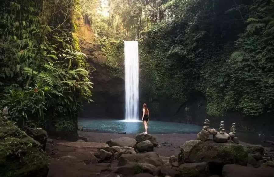 Bali Waterfalls Private Day Tour - Is $45 per person good value?