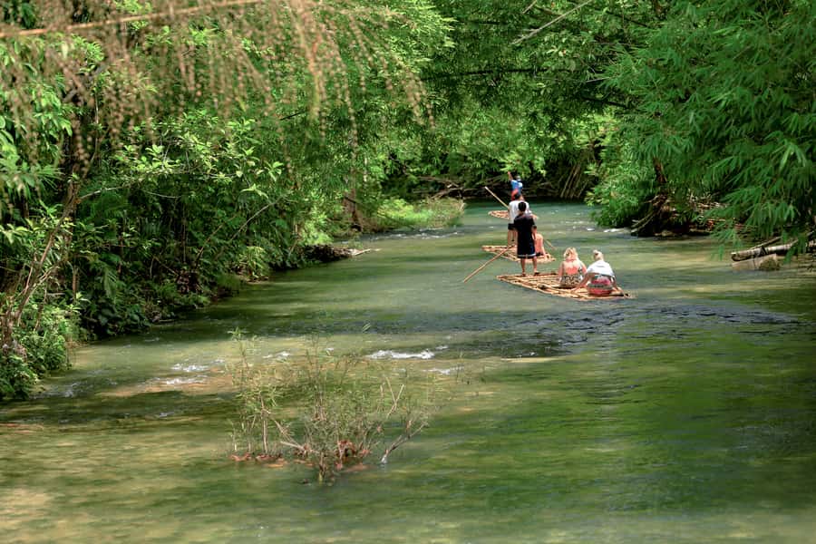 Bamboo Rafting, Waterfall, lunch, Elephant, and Turtle Tour - What to bring and what the $96 covers