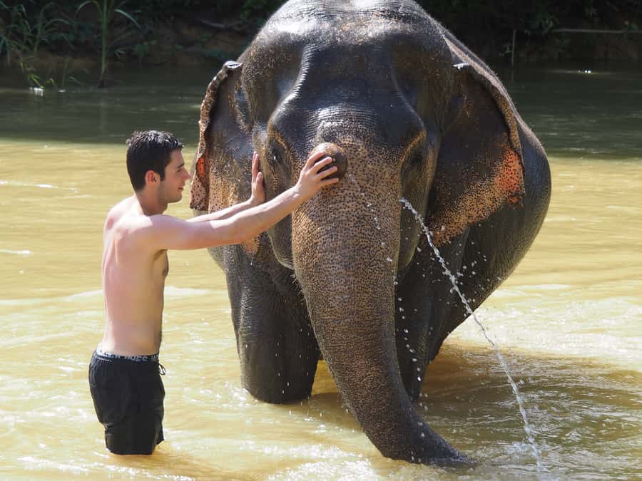 Bamboo Rafting, Waterfall, lunch, Elephant, and Turtle Tour - Thai lunch with room to slow down