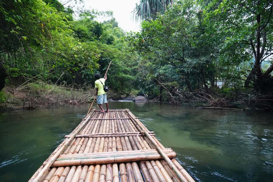 Bamboo Rafting, Waterfall, lunch, Elephant, and Turtle Tour - The driving matters more than the brochure suggests