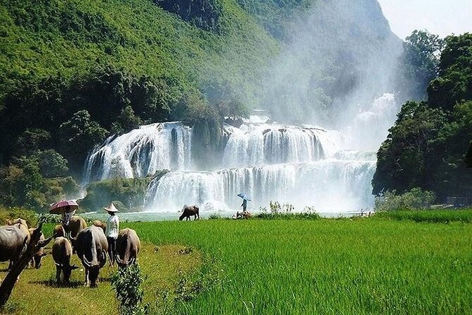 Ban Gioc Waterfall 2 Days 1 Night From Hanoi - A basic night near Ban Gioc