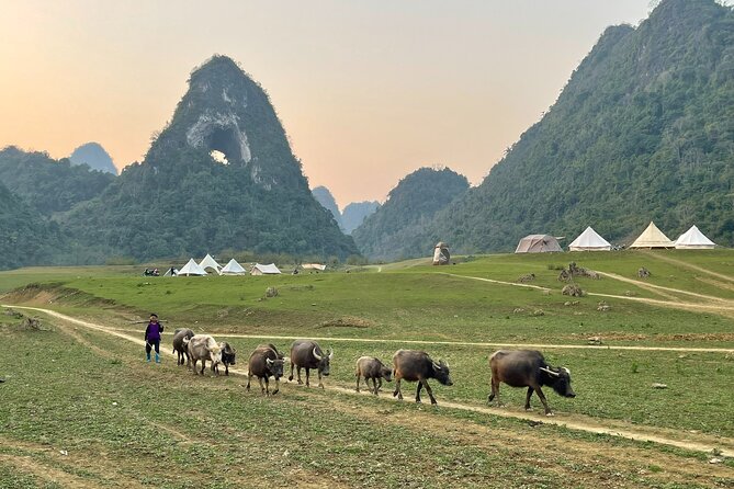 Ban Gioc Waterfall & Mt Angel Eye Full Day Trip with Easy Rider - Inside Nguom Ngao Cave, the Tiger Cave