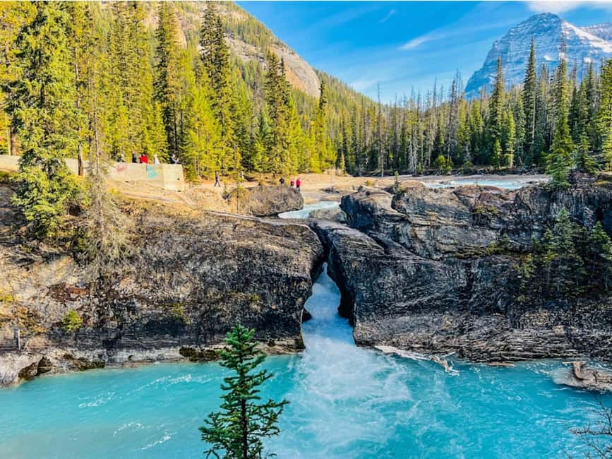 Banff: Emerald Lake, Wapta Falls & Takakkaw Falls Day Trip - Why this Yoho day trip works