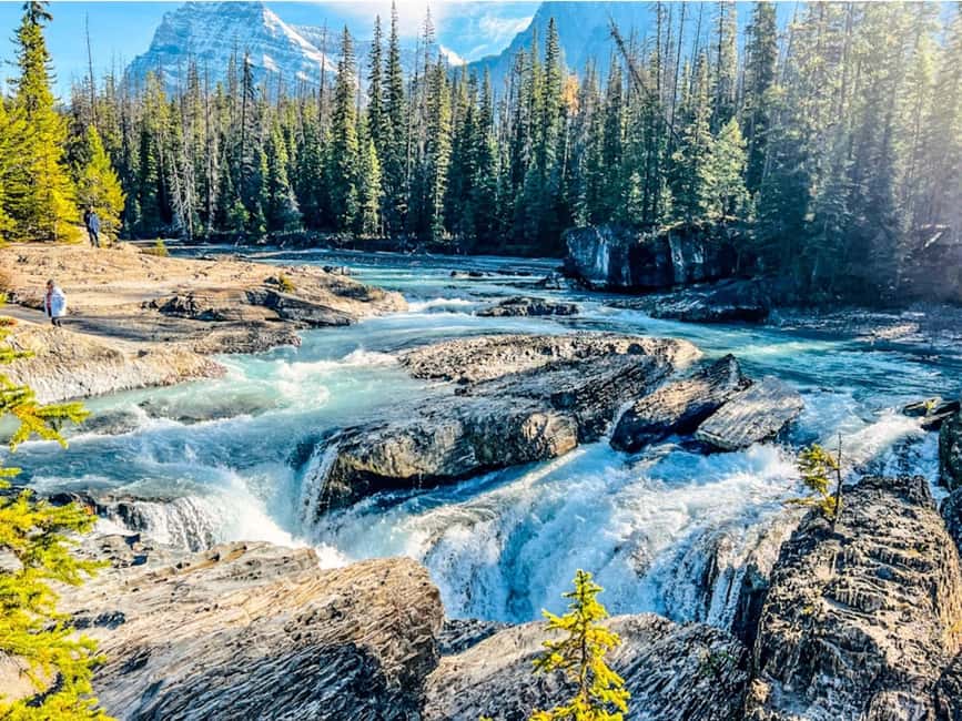 Banff: Emerald Lake, Wapta Falls & Takakkaw Falls Day Trip - Guide quality and the small group advantage