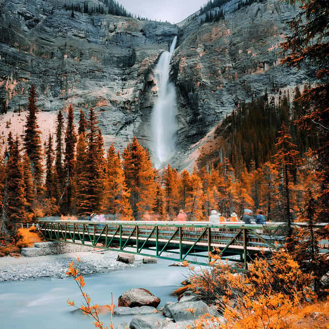 Banff: Emerald Lake, Wapta Falls & Takakkaw Falls Day Trip - Early pickup and the mountain road to Yoho