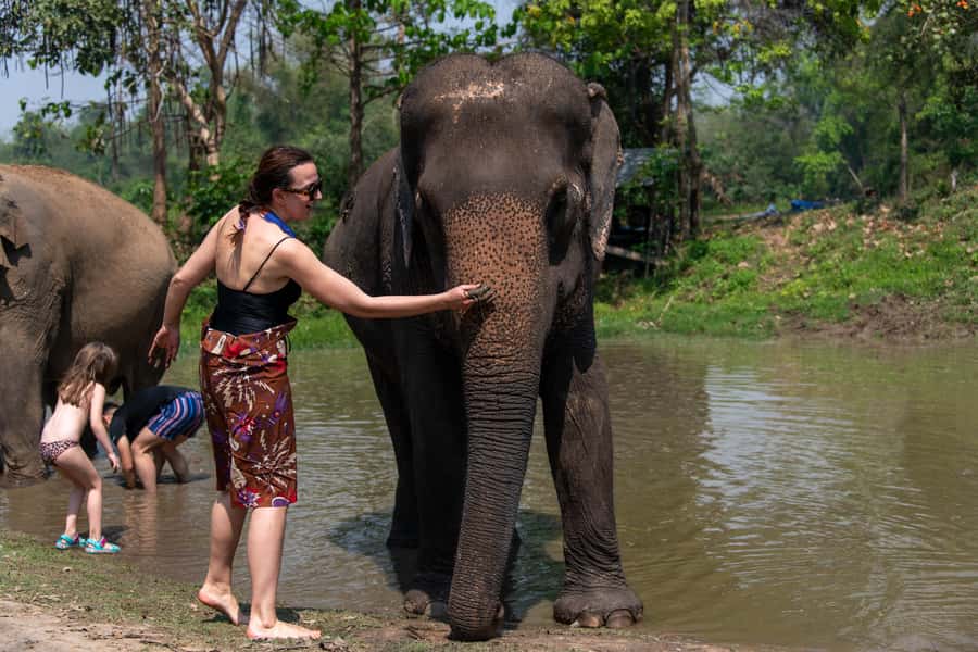 Bangkok: Elephant Sanctuary & Erawan Waterfall Tour - Key points to know before booking