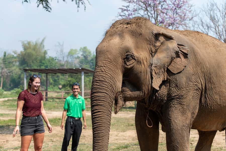 Bangkok: Elephant Sanctuary & Erawan Waterfall Tour - Hiking through Erawan National Park