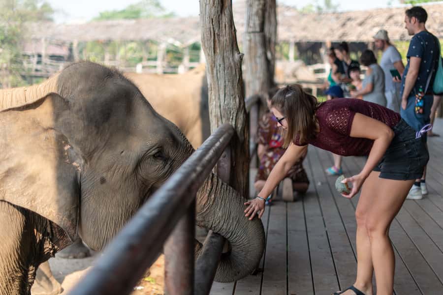 Bangkok: Elephant Sanctuary & Erawan Waterfall Tour - What $181 buys you