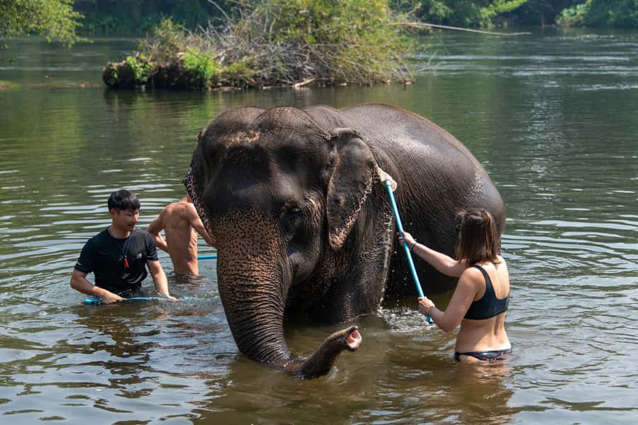 Bangkok: Elephant Sanctuary & Erawan Waterfall Tour - Meeting the elephants at ElephantsWorld