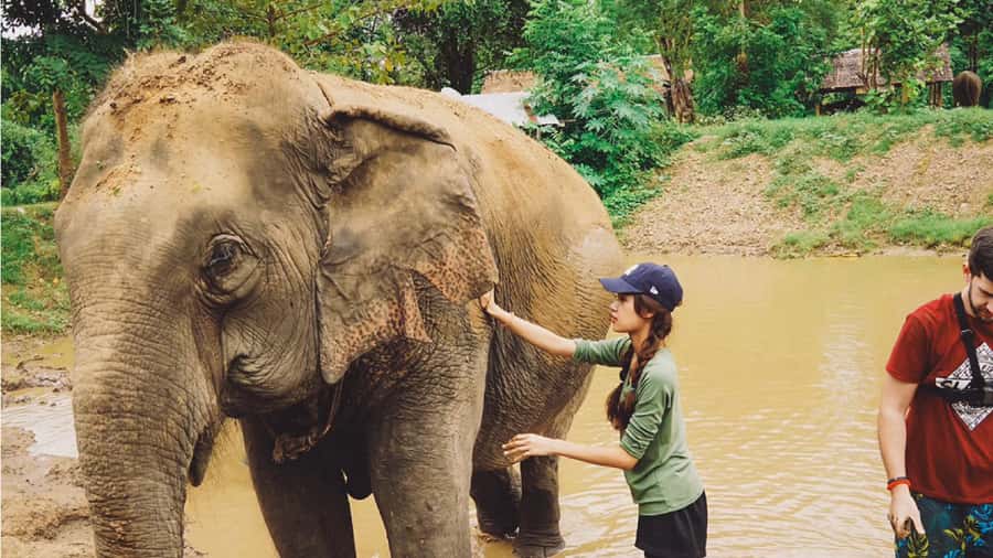 Bangkok: Elephants World & Erawan Waterfall in Kanchanaburi - A 13.5-hour day with two very different stops