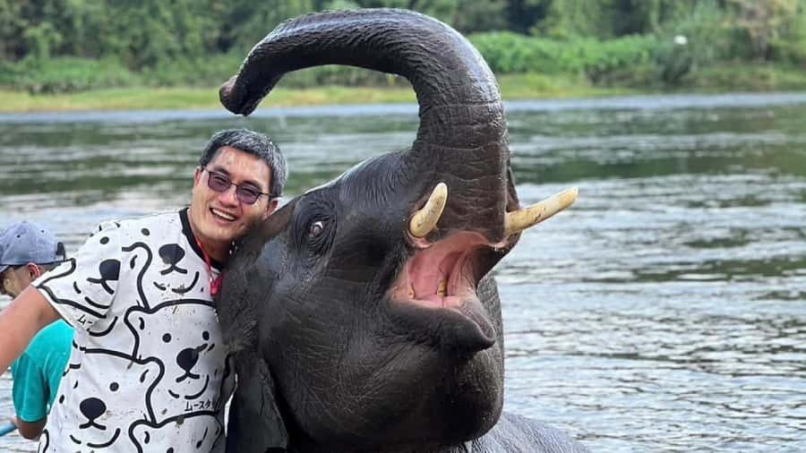 Bangkok: Elephants World & Erawan Waterfall in Kanchanaburi - Who will enjoy this day most