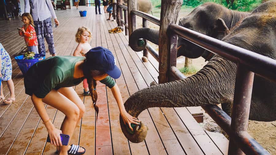 Bangkok: Elephants World & Erawan Waterfall in Kanchanaburi - Booking details worth knowing