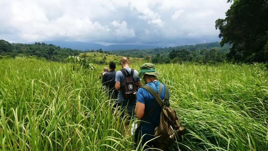 Bangkok: Khao Yai Nature Trails & Heaw Suwat Waterfall - Key points to know before booking