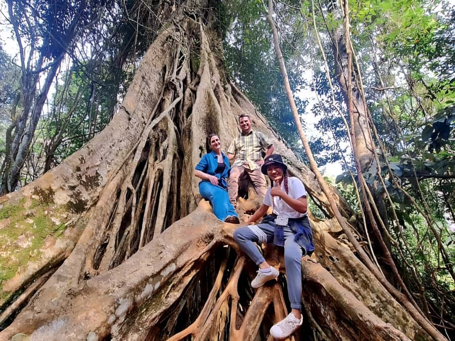 Bangkok: Khao Yai Nature Trails & Heaw Suwat Waterfall - KM 30 Viewpoint and the first look at the park