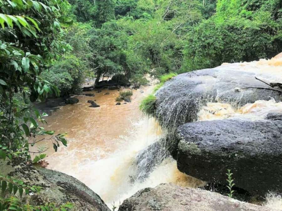 Bangkok: Khao Yai Nature Trails & Heaw Suwat Waterfall - Lunch at Wanali Restaurant