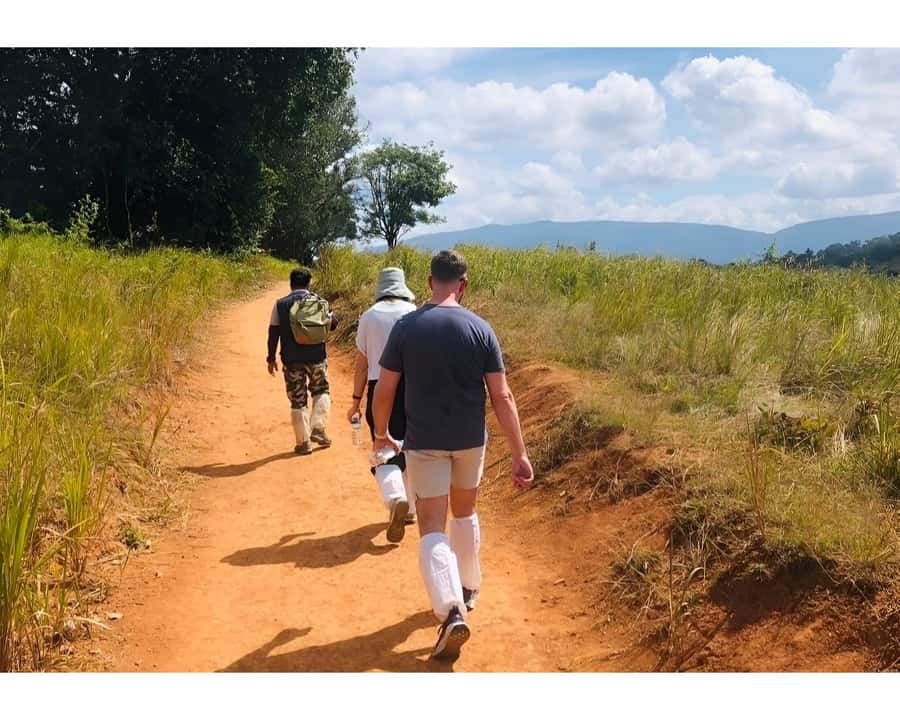 Bangkok: Khao Yai Nature Trails & Heaw Suwat Waterfall - The early start from Bangkok
