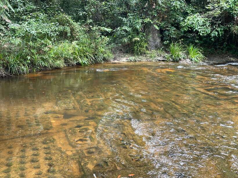 Banteay Srei, Kulen Waterfall & Beng Mealea Small-Group Tour - Preah Ang Thom, a sacred Buddha on Kulen Mountain