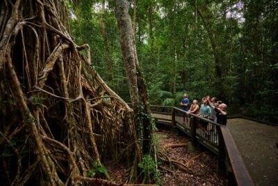 Barefoot Atherton Tablelands Adventure by Cairns Waterfalls