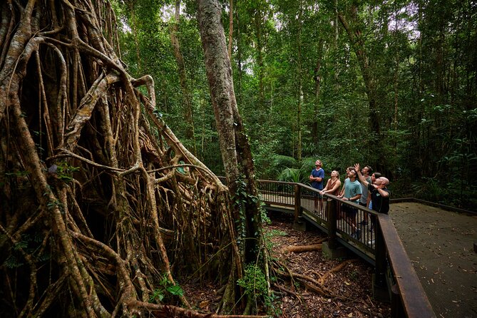 Barefoot Atherton Tablelands Adventure by Cairns Waterfalls - Josephine Falls and the natural rock slide
