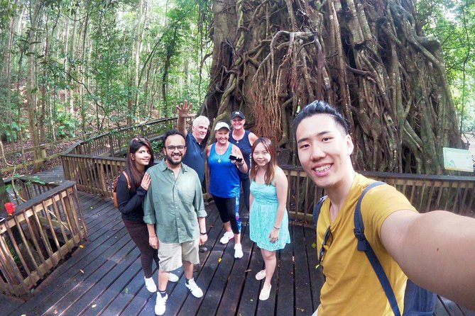 Barron Gorge and Kuranda National Park Half Day Rainforest and Waterfall 4WD Tour from Cairns - Barron Falls gives the tour its headline view