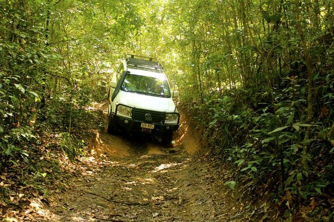 Barron Gorge and Kuranda National Park Half Day Rainforest and Waterfall 4WD Tour from Cairns - Davies Creek is the tour’s most personal stop