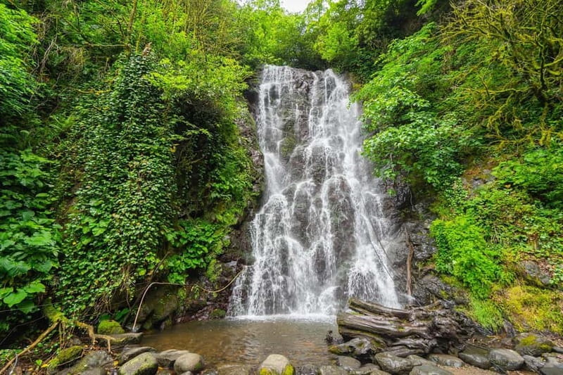 Batumi: Wine & Dine Tour To Waterfalls - Mountainous Adjara - Guides, transport, and the pace of the day