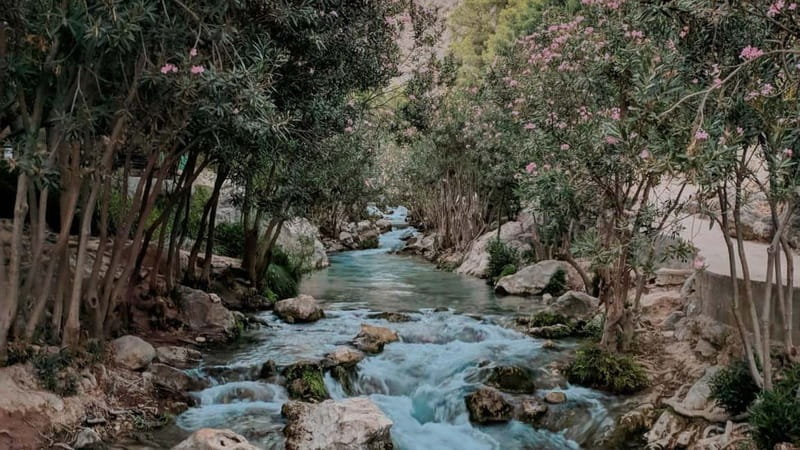 Benidorm: Mountains Half-Day Jeep Trip to Algar Waterfalls - What the $65 price really buys you