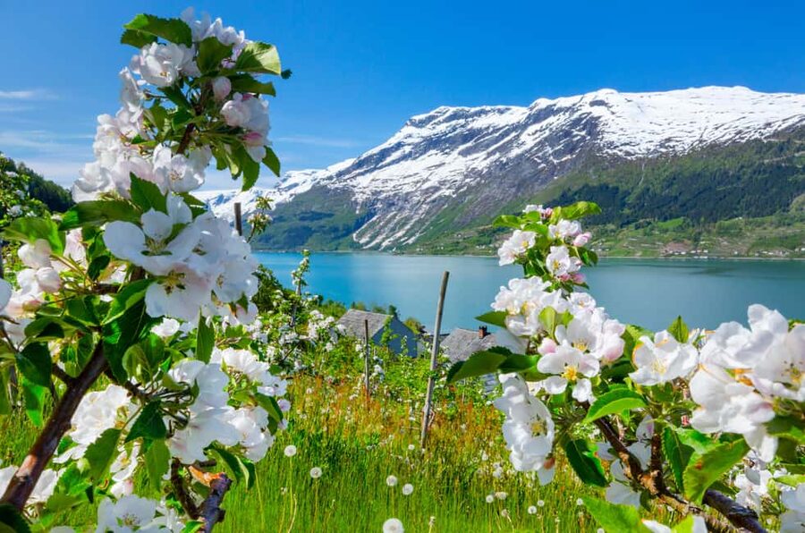 Bergen: Hardangerfjord & Waterfalls Bus Tour with Apple Pie - Why this Hardangerfjord day trip works from Bergen