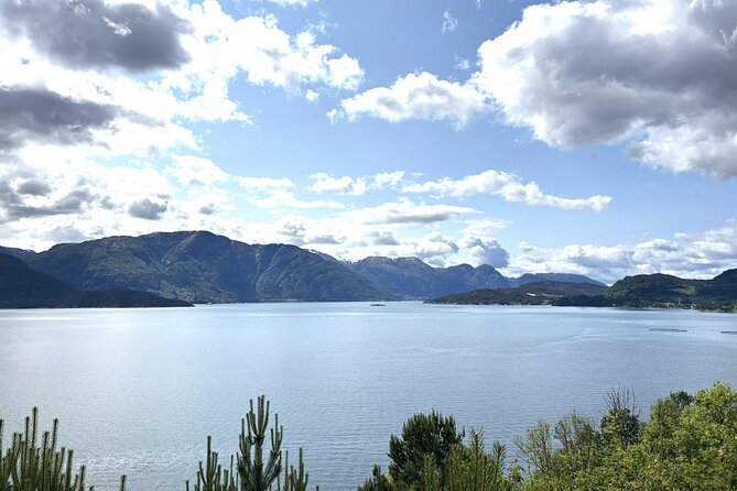 Bergen: Hardangerfjord, Waterfalls, Culture & Apple pie - Salthammeren’s ancient carvings and fjord view