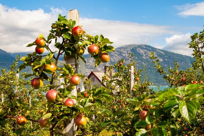 Bergen: Hardangerfjord, Waterfalls, Culture & Apple pie - How much time do you really spend off the bus?