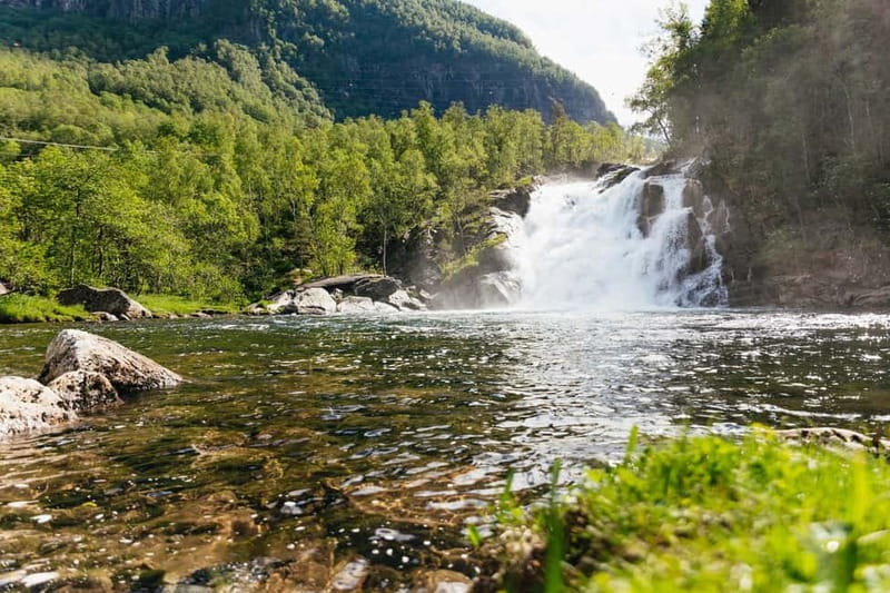 Bergen: Old Town and Waterfalls Guided Tour with Waffles - Price, timing, and overall value