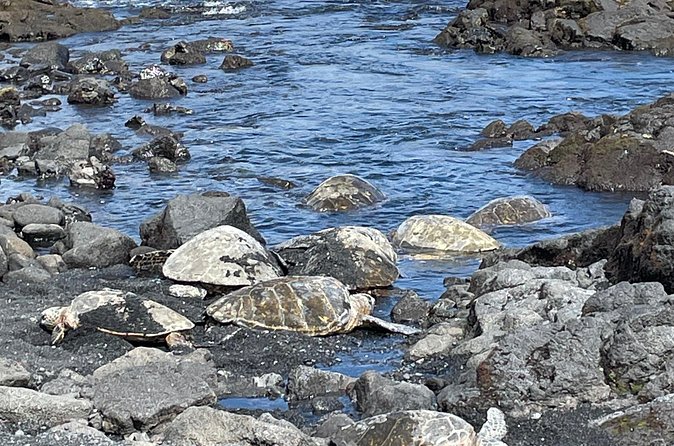 Best of Big Island: Volcanoes, Waterfall, Blacksand Beach & Lunch - Walking through Nāhuku Lava Tube