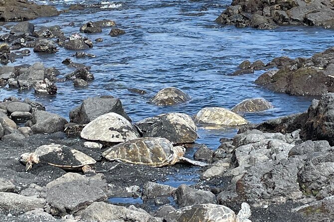 Best of Big Island: Volcanoes, Waterfall, Blacksand Beach & Lunch - The van rides are part of the lesson